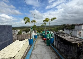 Cemitérios passam por mutirão de limpeza para Dia de Finados – Prefeitura Municipal de Candeias.