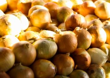 Inflação acumulada dos alimentos é a menor desde setembro de 2024