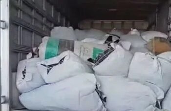 Ação policial integrada apreende mais de 780 kg de maconha na Bahia