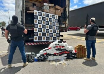 Polícia Civil baiana apreende 250 quilos de drogas; 2 suspeitos presos