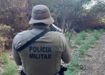 Dois suspeitos morrem em troca de tiros com PMs na Bahia