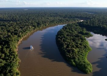 Extrativismo sustentável na Amazônia é tema do Caminhos da Reportagem