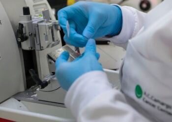 Cura de câncer de próstata pode chegar a até 98% 