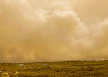 Calor já mata meio milhão de pessoas por ano, alertam cientistas