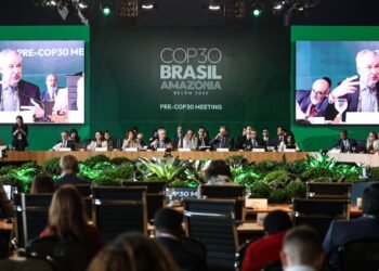 BNDES lança plataforma para acompanhar ações do Fundo Clima