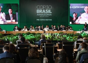 “COP é o lugar para resolver financiamento climático”, diz economista