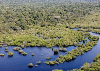 Boleto gigante na Paulista cobra países ricos sobre dívida com o clima