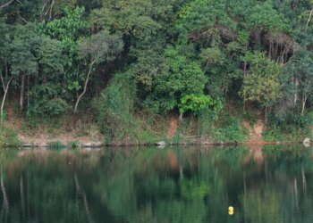 Prefeitura de São Caetano do Sul anuncia racionamento noturno de água