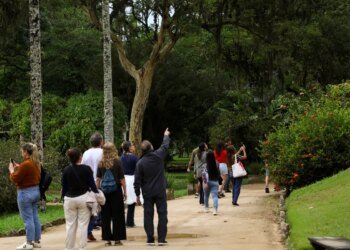 Dia da Consciência Negra: Jardim Botânico do Rio tem programa especial