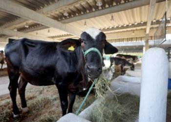 Leilões e acesso a financiamento aumentam oportunidades de negócios na Fenagro 2025 | SECOM