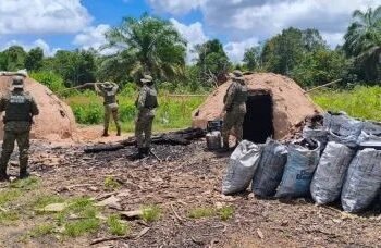 PM apreende mais de uma tonelada de carvão ilegal na Bahia
