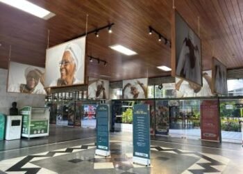 Novembro Negro nas bibliotecas públicas da Bahia reforça a luta por liberdade e respeito à memória e ancestralidade | SECOM