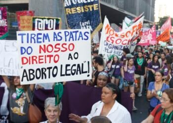 Ataque a aborto legal espalha “pânico moral”, diz dirigente do Conanda
