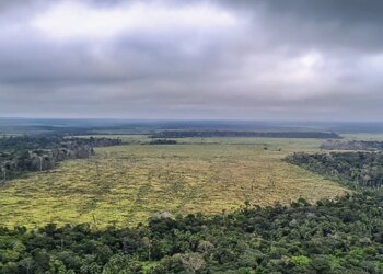 Governo defende manutenção de vetos à lei do licenciamento ambiental