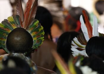 Demarcar terras dá segurança a quem protege o meio ambiente, diz MJ