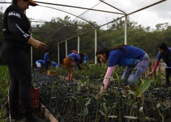 Governo fecha parceria para expandir energia renovável na Amazônia