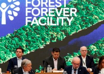 Lula lança em Belém fundo para preservação de florestas tropicais