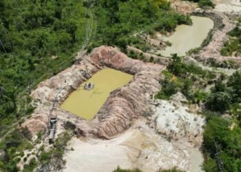 Presença de facções criminosas na Amazônia cresce 32% em um ano