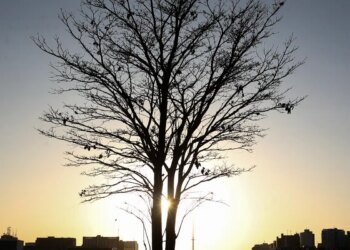 Cientista alerta para risco de aquecimento global por longo tempo