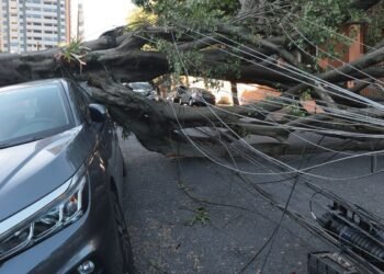 Comércio perde mais de R$ 50 milhões com falta de energia em São Paulo