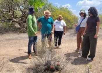 Oficiais do FIDA visitam experiências desenvolvidas pela CAR no Semiárido baiano | SECOM