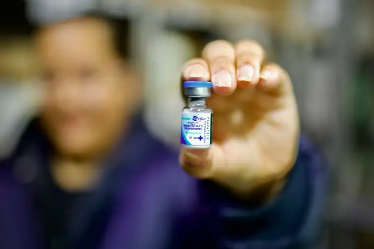 João Risi/MS Brasília (DF), 02/12/2025 - Chegada de Vacinas para Bronquiolite (VSR). Fotos: João Risi/MS