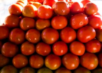 Inflação da comida em casa cai 0,2% em novembro, sexto recuo seguido