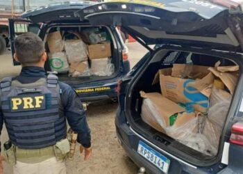 PRF e PF interceptam carregamento de 340 kg de drogas na Bahia