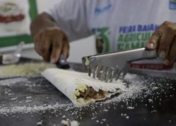 Sabores da Bahia ganham destaque nas praças gastronômicas da 16ª Feira da Agricultura Familiar | SECOM