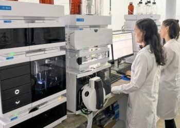 Pesquisadora do Cetab é premiada por estudo sobre abelhas sem ferrão publicado em revista internacional | SECOM