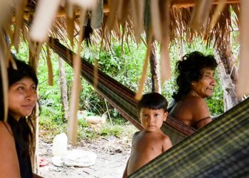 Brasil lidera número de povos isolados, mas há lacunas na proteção
