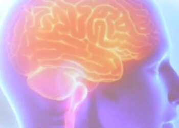 Projeto Ártemis avalia genética de pacientes que sofreram AVC