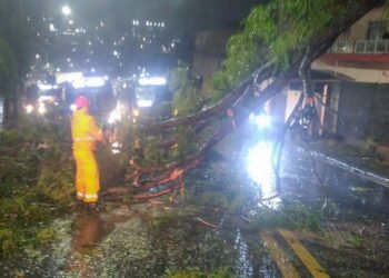 Ciclone deixa 2 milhões clientes sem energia em São Paulo