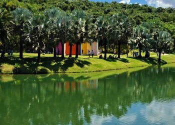 Museu Inhotim, em Minas Gerais, tem recorde de visitação em 2025