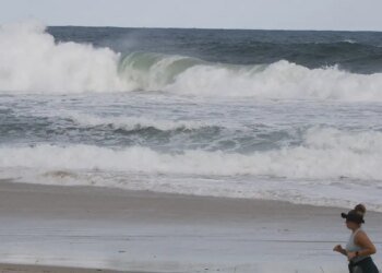 Consciência ambiental cresce em áreas com projetos de longa duração