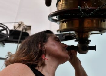 Produção científica brasileira volta a crescer em 2024