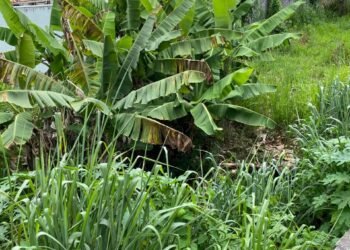 Obras da rua Guanabara serão retomadas e intervenções são ajustadas entre Prefeitura e Conder – Prefeitura Municipal de Candeias.