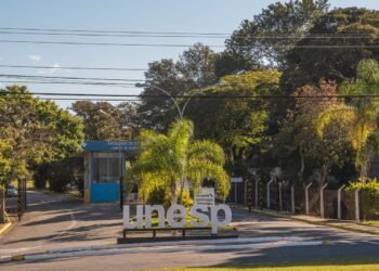 Unesp divulga lista de aprovados no vestibular 2026