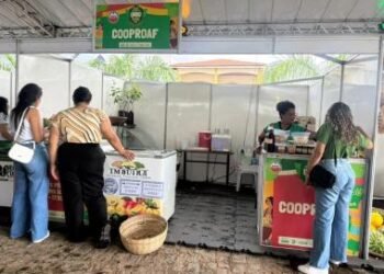 16º Festival do Umbu fortalece a agricultura familiar e movimenta economia de Manoel Vitorino e região | SECOM