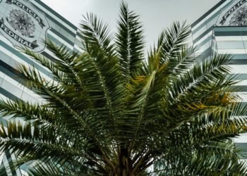 PF adia depoimentos de três investigados no inquérito do Banco Master