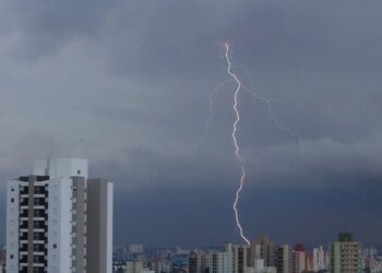 SP registra desabamentos e quedas de árvore por chuva forte