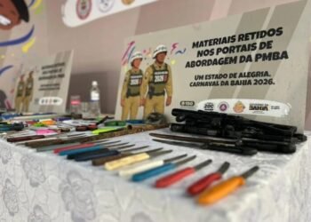 Salvador: Portais de Abordagem do Carnaval recolhem de mais de 500 objetos proibidos