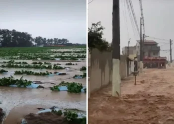 Temporal alaga plantação e inunda casas na Bahia