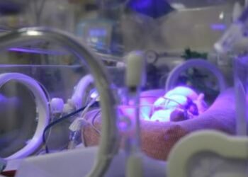 Sesab amplia estratégia contra Vírus Sincicial Respiratório e reforça proteção para bebês prematuros e crianças com comorbidades | SECOM