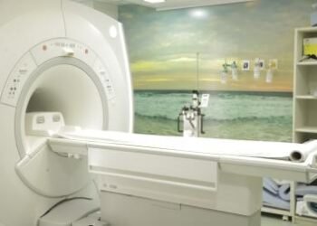 Osid e Aristides Maltez lideram apoio dos cidadãos no Sua Nota é um Show de Solidariedade | SECOM