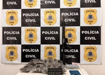 PC baiana apreende fuzil calibre .762 e mais de 3,6 kg de drogas
