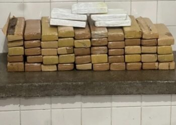 Operação da PM baiana nas rodovias apreende armas de fogo e 100 kg de drogas