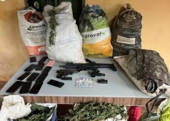 PM encontra 3 toneladas de maconha e 200 mil pés da erva erradicados