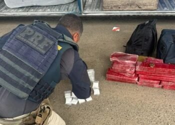PRF apreende mais de 24 kg de drogas em ônibus de turismo na Bahia