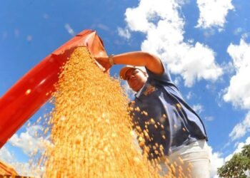 Produção de grãos pode chegar a 353,4 milhões de toneladas
